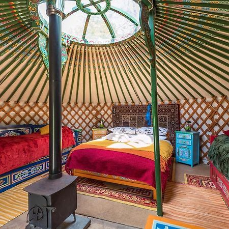 Pembrokeshire Yurts - Badger Llanfyrnach Exterior foto