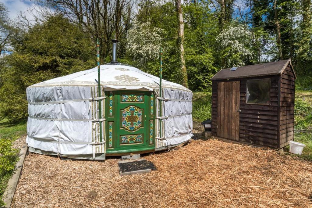 Pembrokeshire Yurts - Badger Llanfyrnach Exterior foto