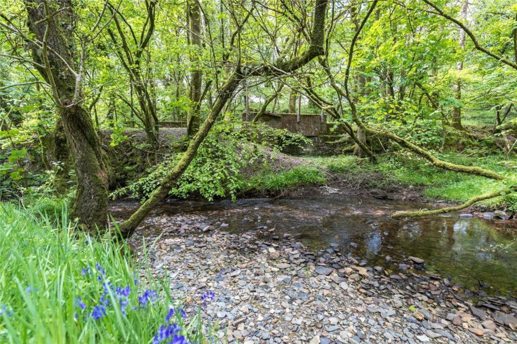 Pembrokeshire Yurts - Badger Llanfyrnach Exterior foto