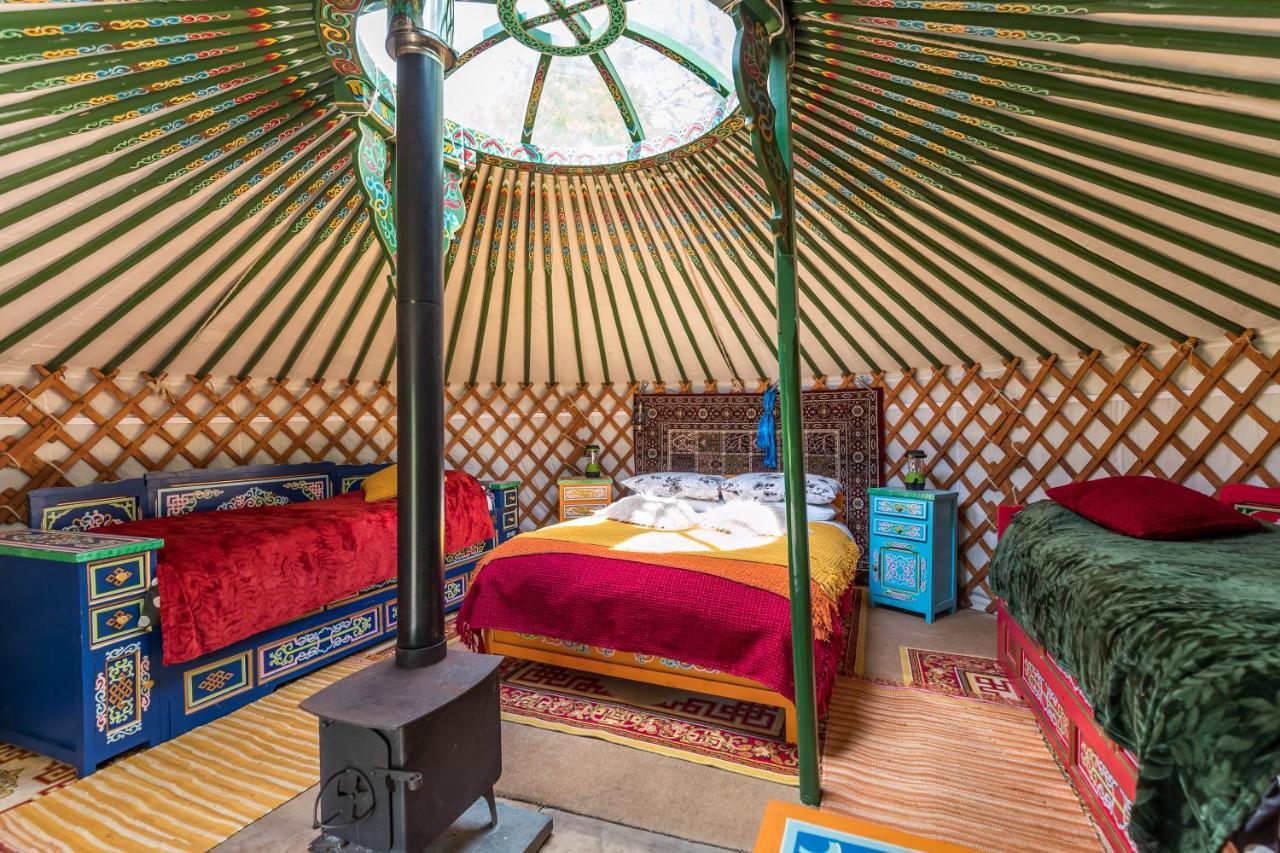 Pembrokeshire Yurts - Badger Llanfyrnach Exterior foto